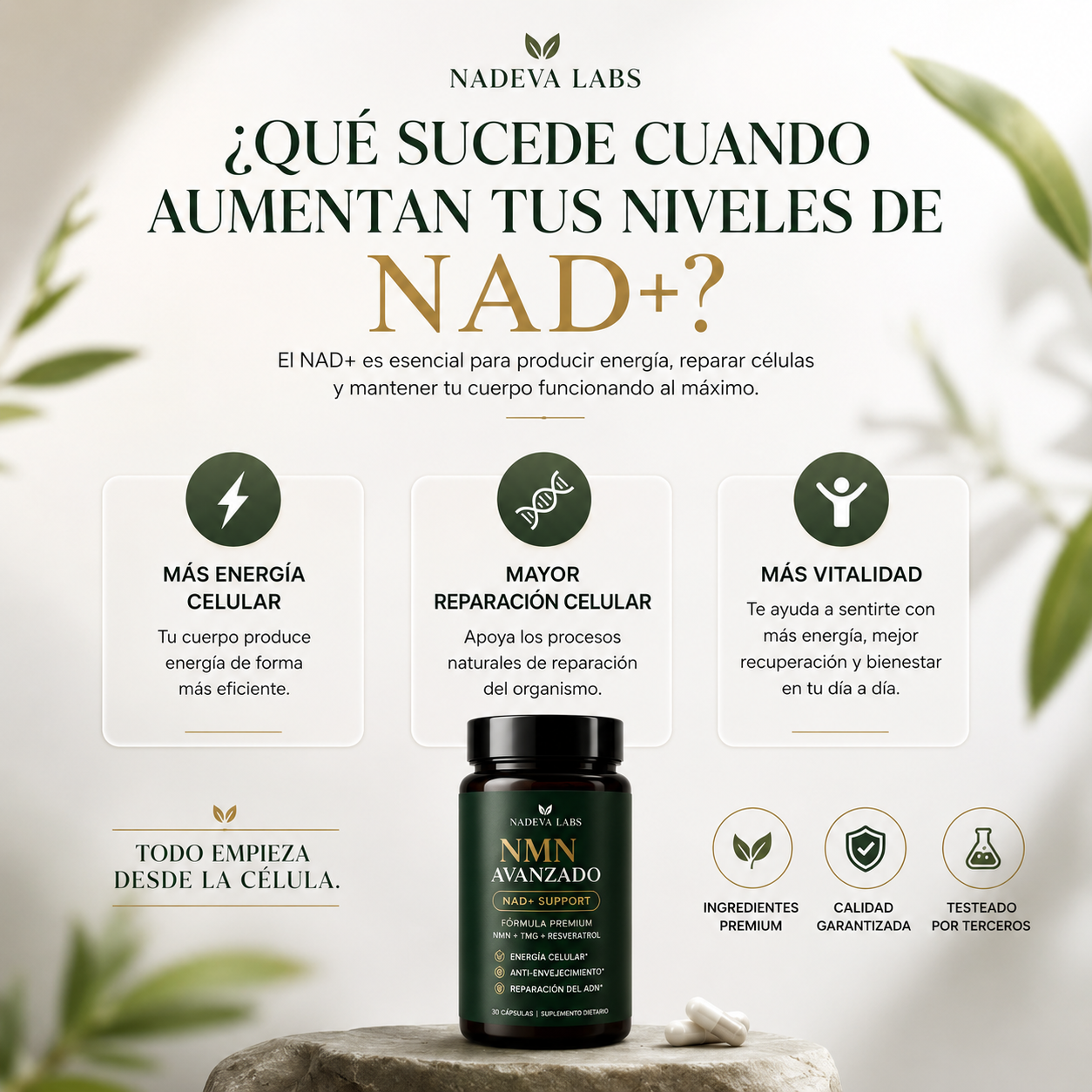 NMN Avanzado - Fórmula Completa NAD+ para Rejuvenecimiento Celular, Claridad Mental y Longevidad